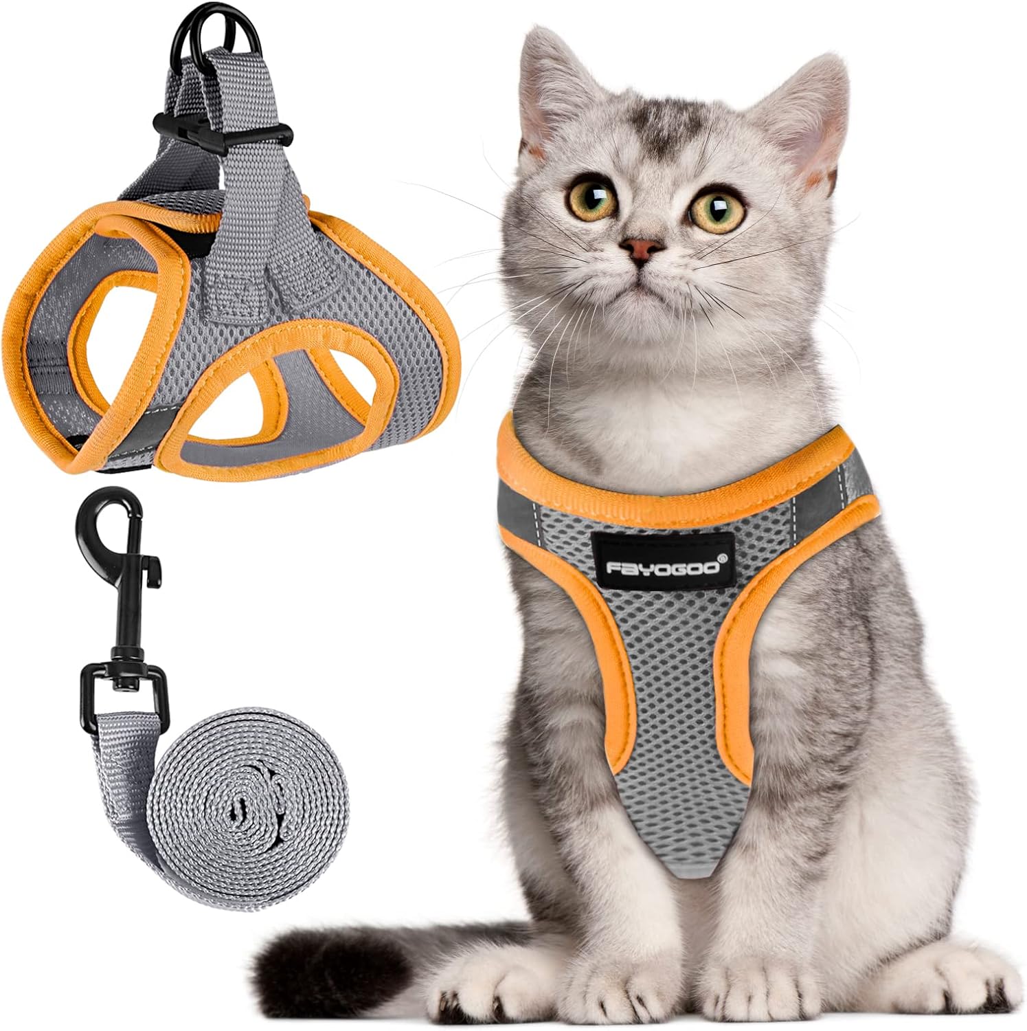 Cat Harness and Leash