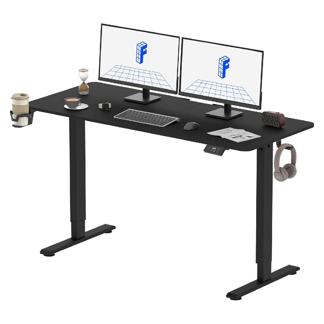 FlexiSpot Electric Standing Desk
