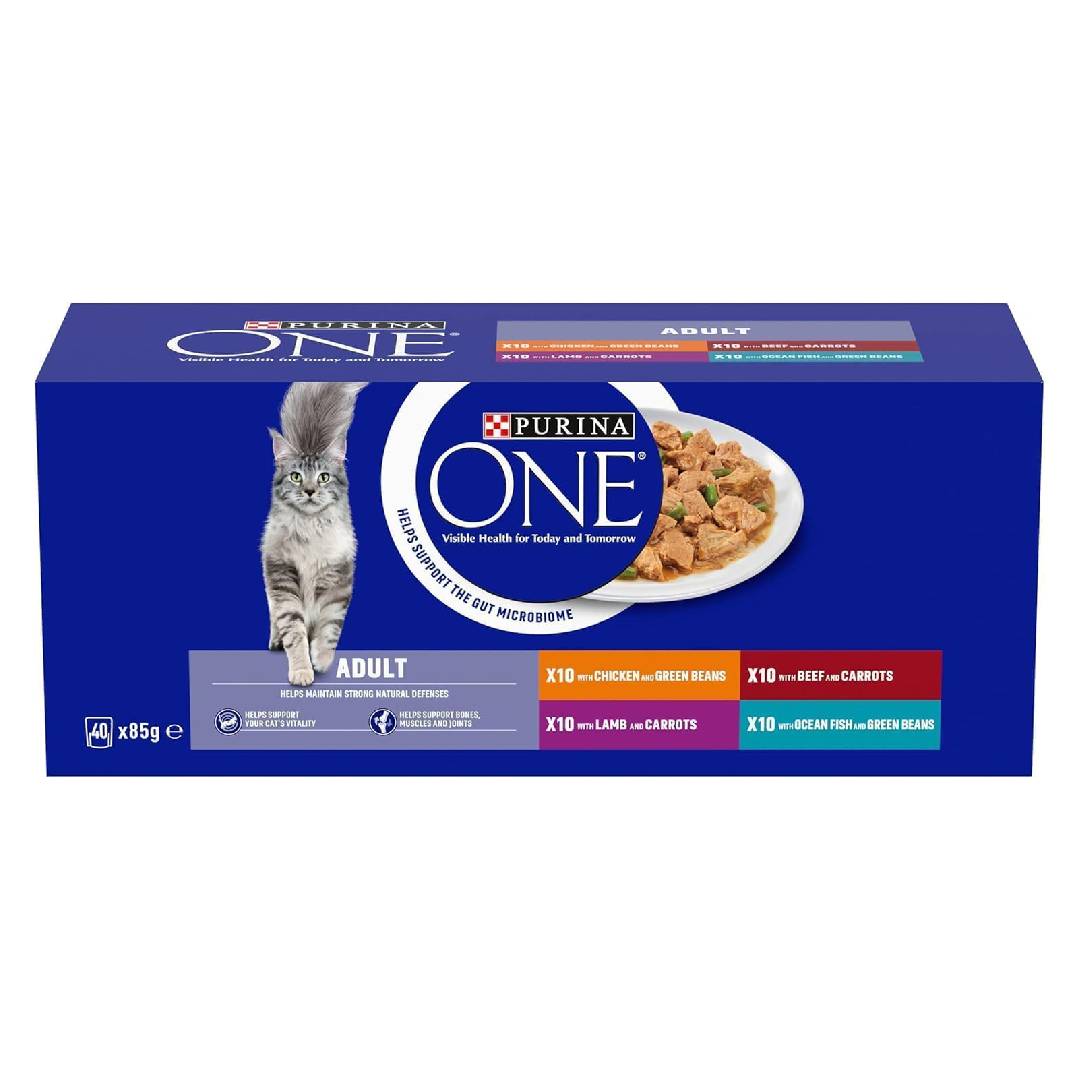 PURINA ONE Adult Cat Food Mini Fillets in Gravy 40 x 85g