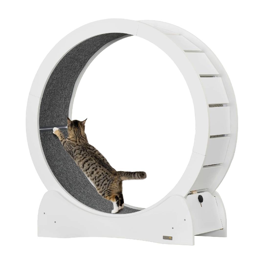 PawHut Cat Treadmill