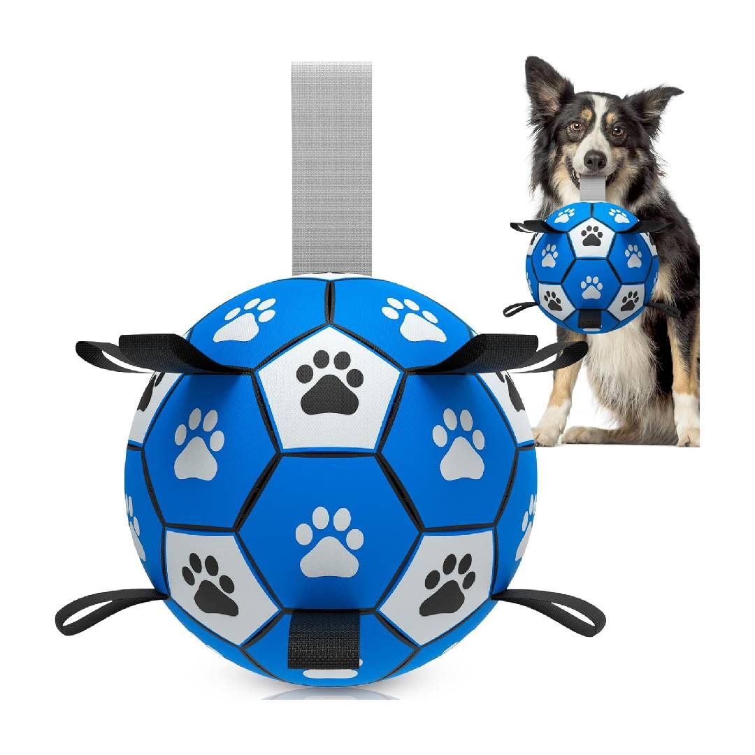 HETOO Interactive Dog Football Toy