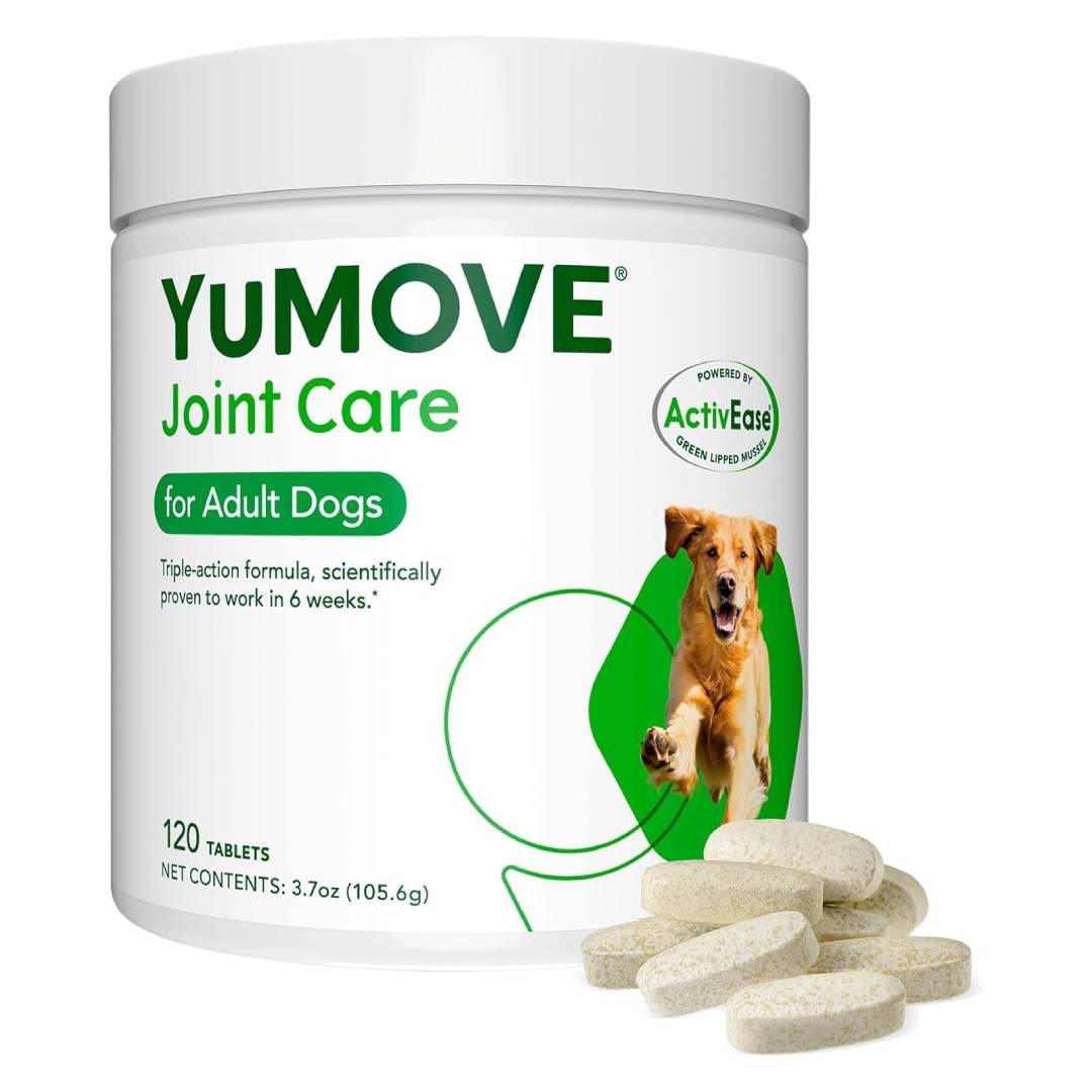 dog joint supplement
