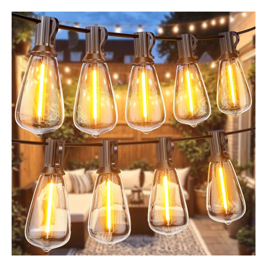 festoon lights for garden
