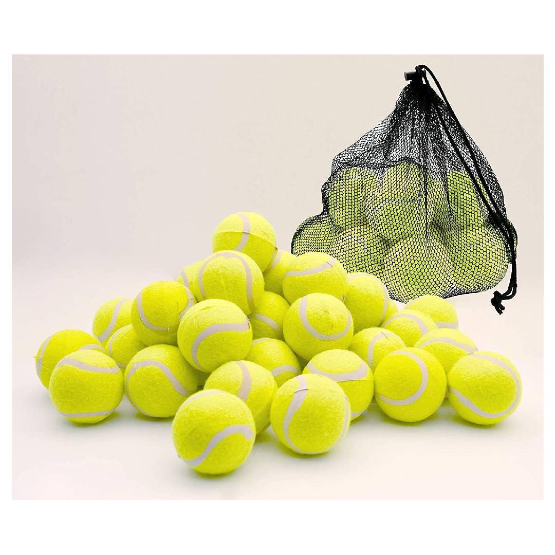 1ABOVE Durable Sport Play Tennis Cricket Dog Toy Ball with Mesh Carrying Bag