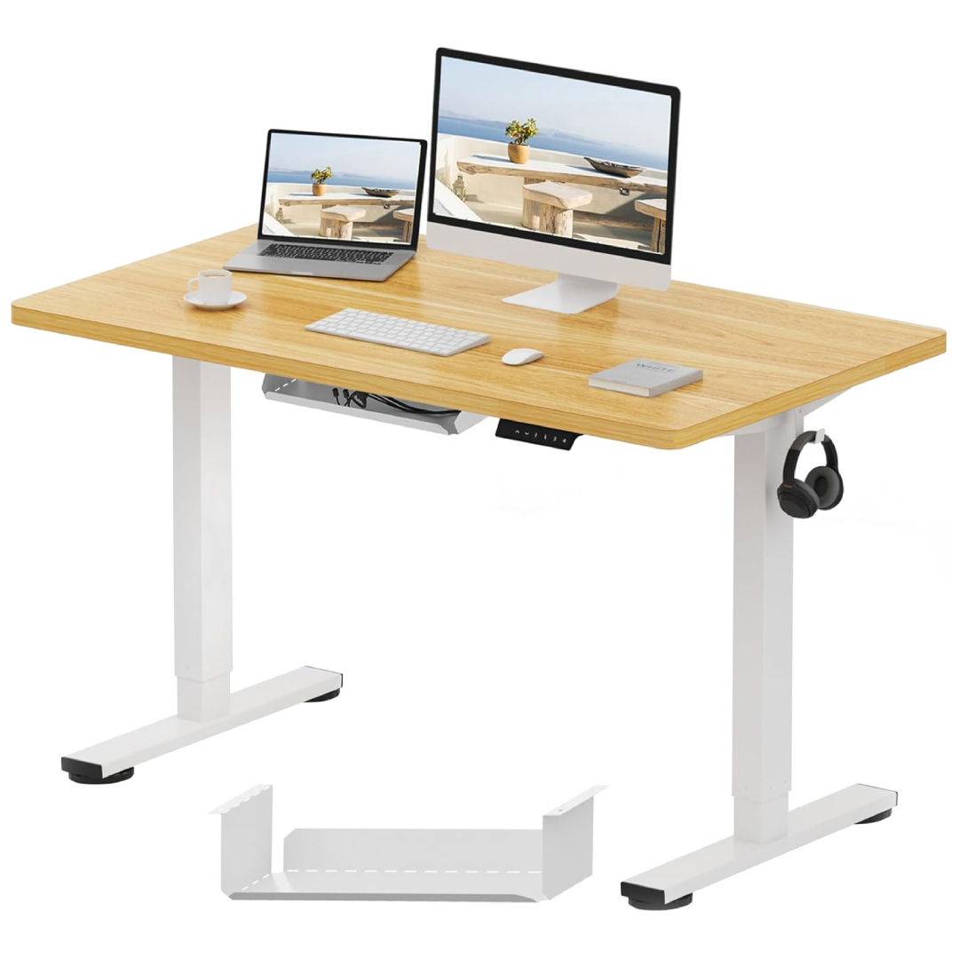 FLEXISPOT electric height adjustable desk