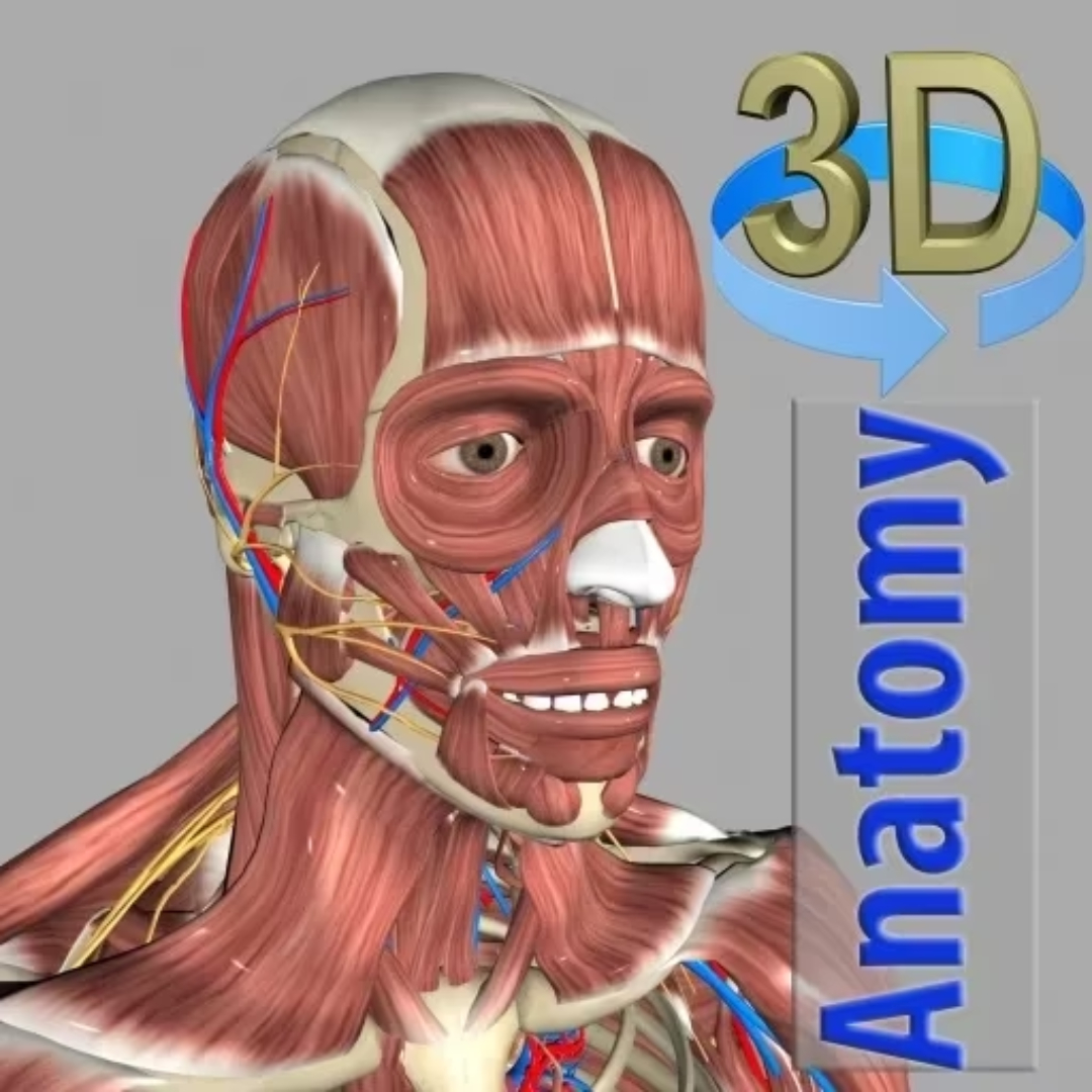 3D Anatomy app