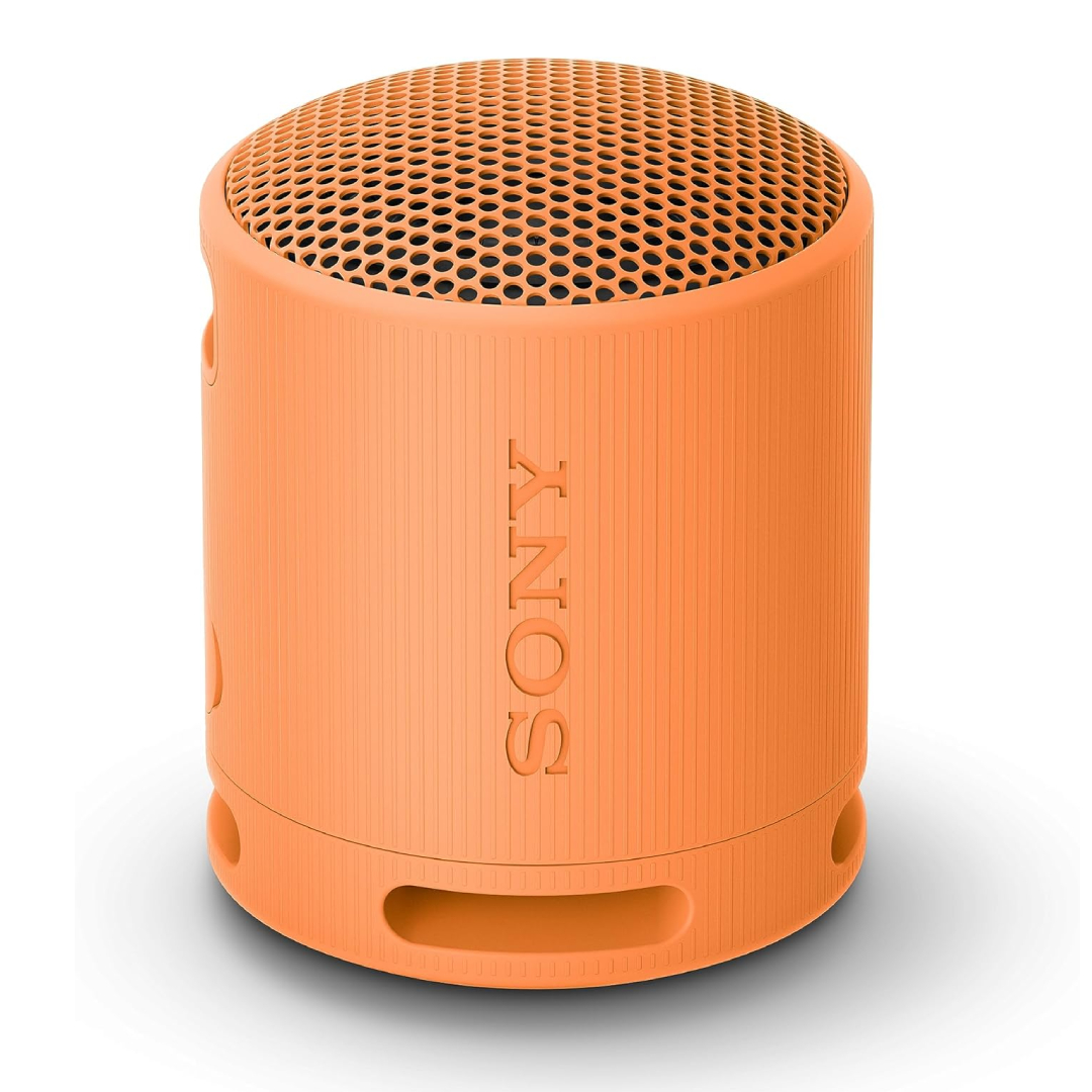 Sony SRS XB100 portable Bluetooth speaker