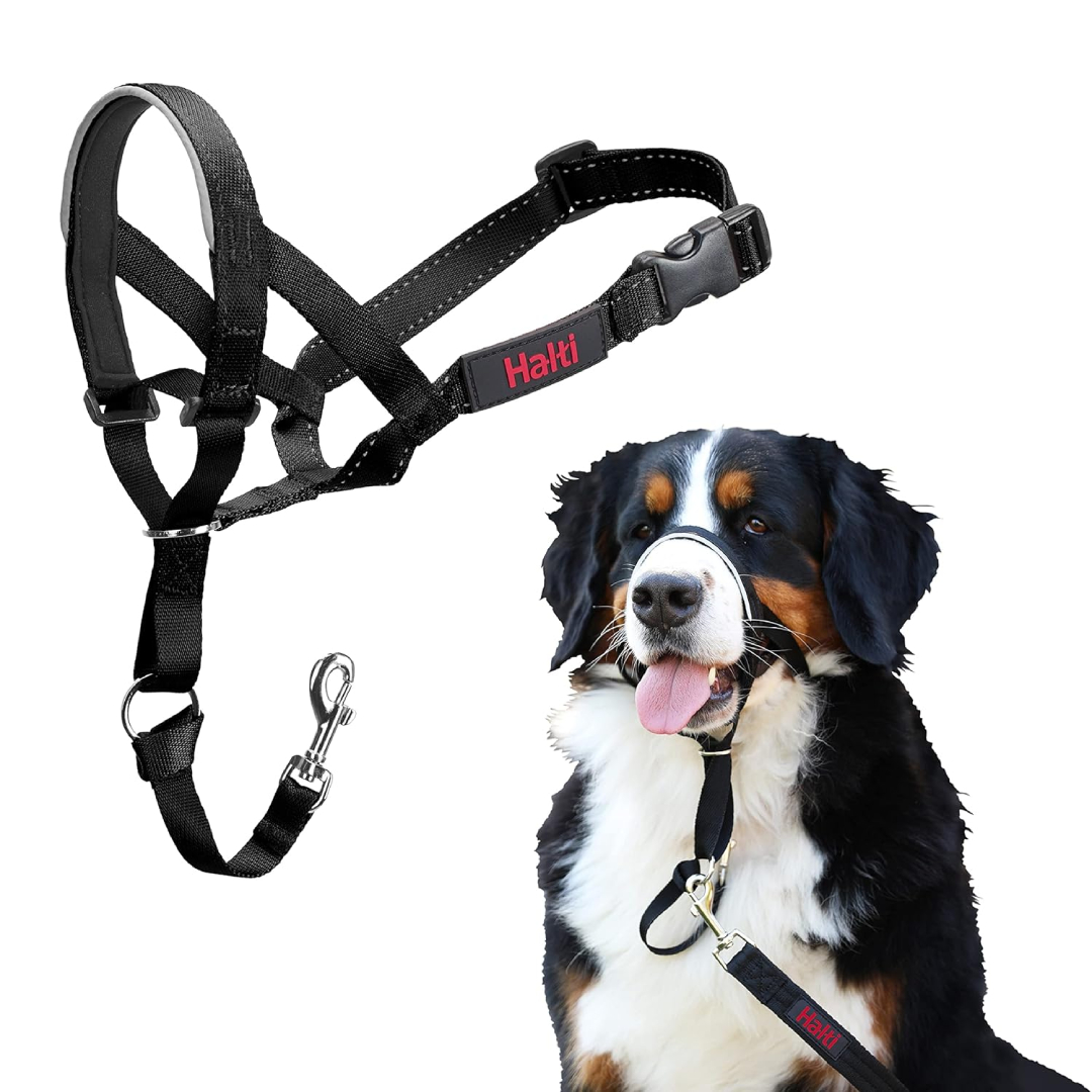 halti headcollar size 4