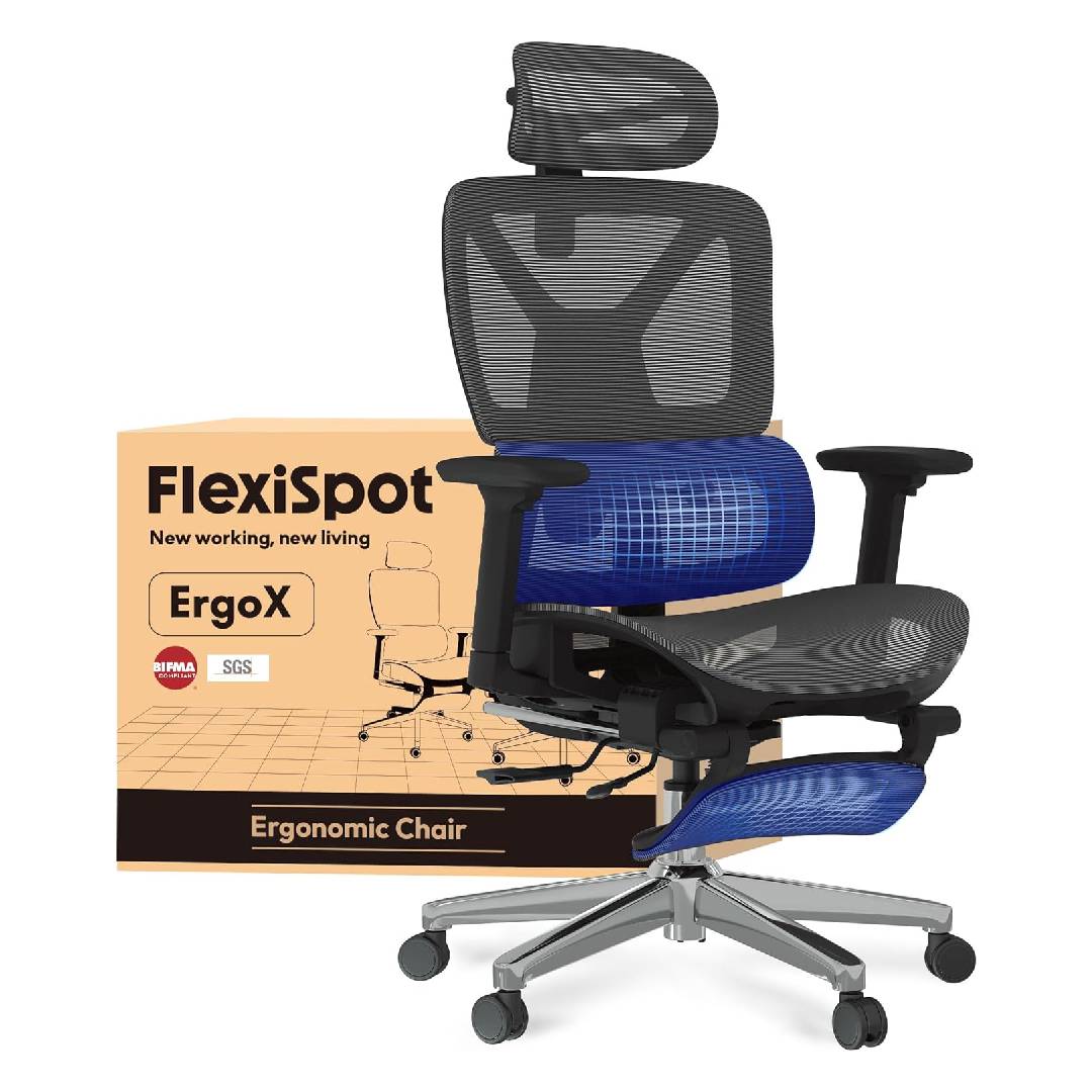 FlexiSpot ErgoX Ergonomic Office Chair