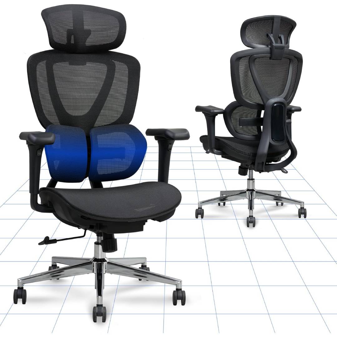 FLEXISPOT Ergonomic Office Chair Desk Chair Withwith Dual-Wing Back Support