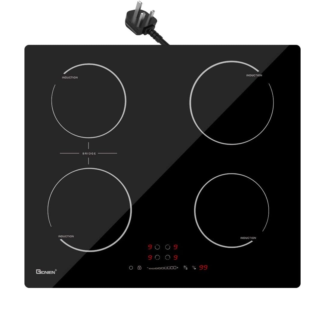 plug in induction hob
