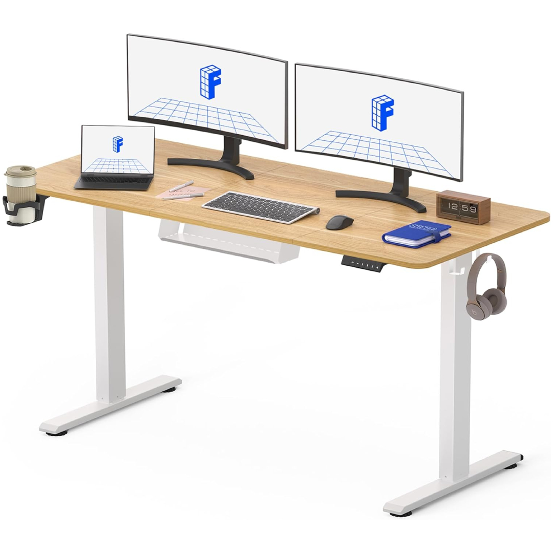 FlexiSpot Standing Desk
