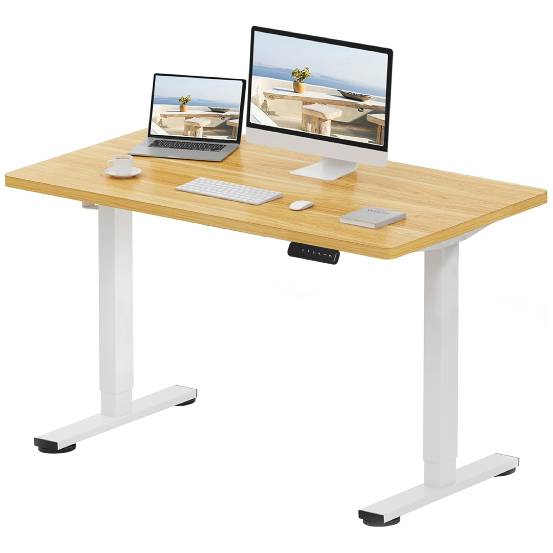 FLEXISPOT Standing Desk