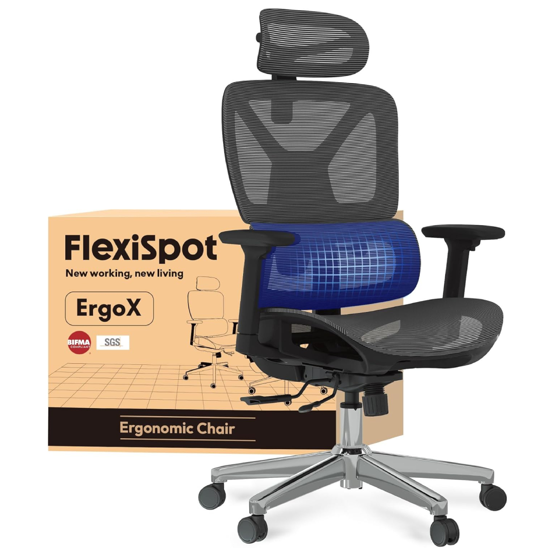 FlexiSpot Ergonomic Office Chair