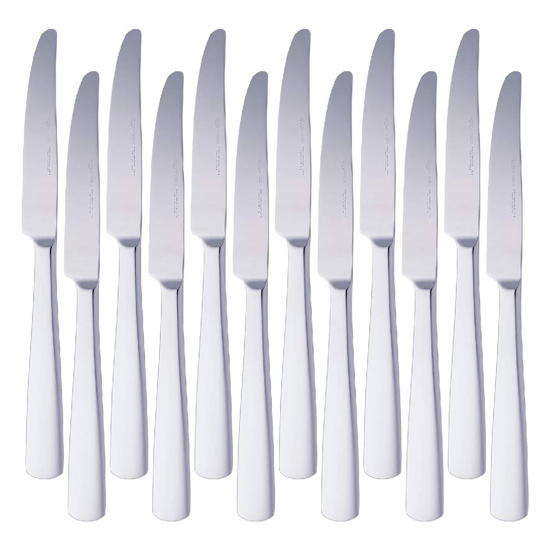Amazon Basics Stainless Steel Dinner Knives With Square Edge, Pack of 12
