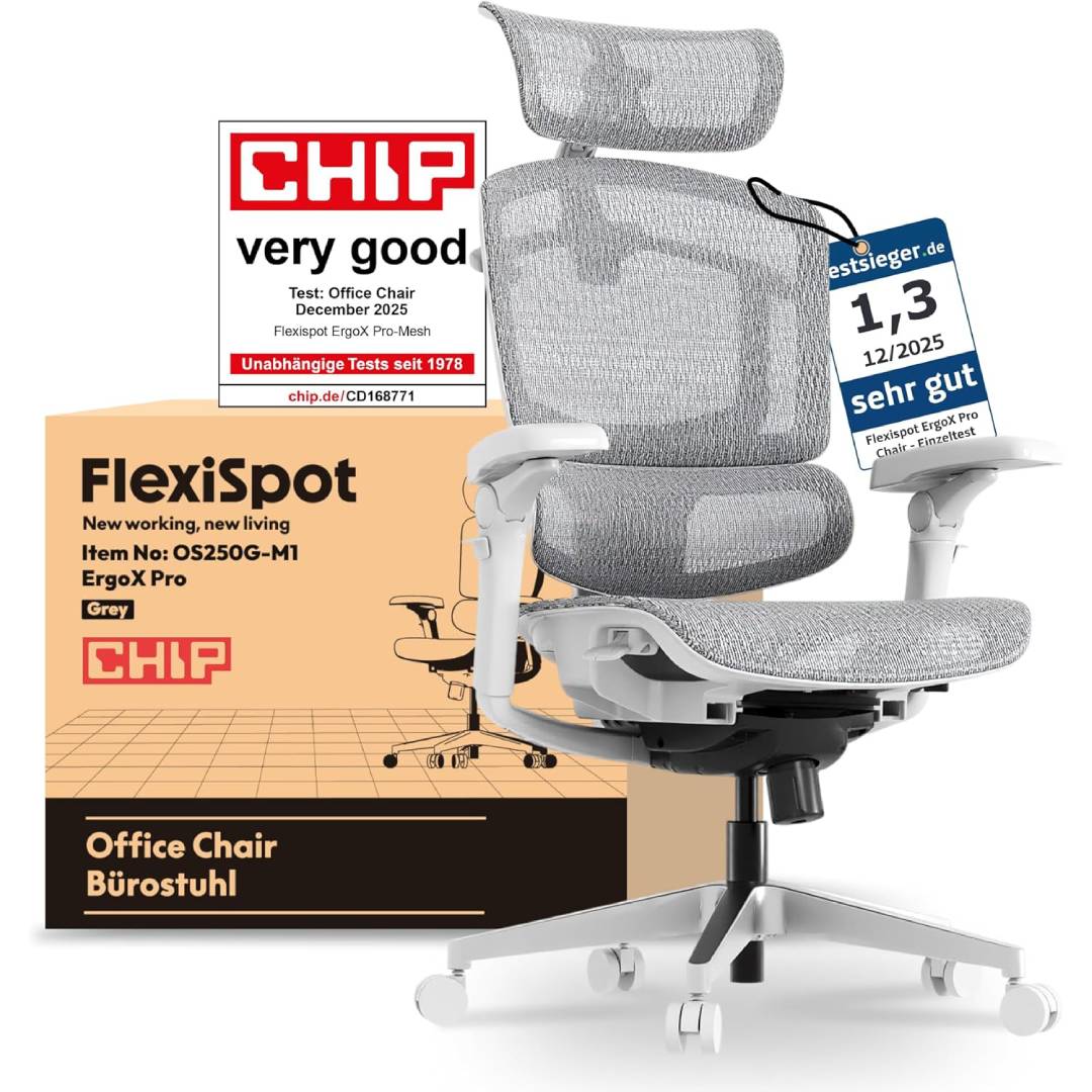 FlexiSpot ErgoX Pro Ergonomic Chair for Office