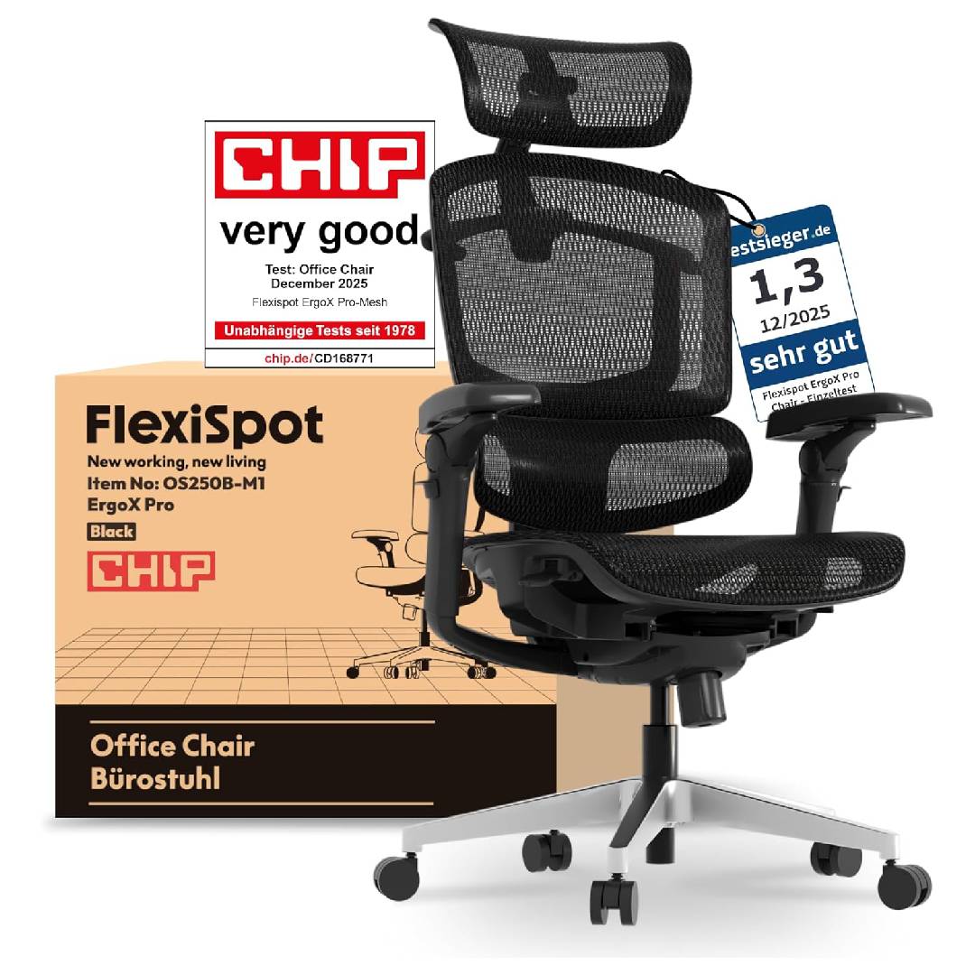 FlexiSpot ErgoX Pro Ergonomic Chair for Office