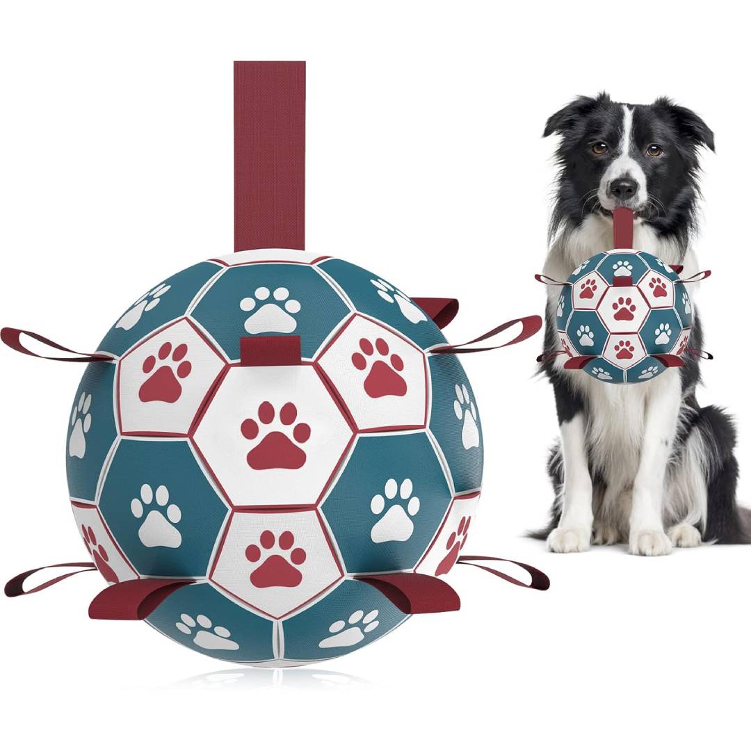 HETOO Dog Soccer Ball