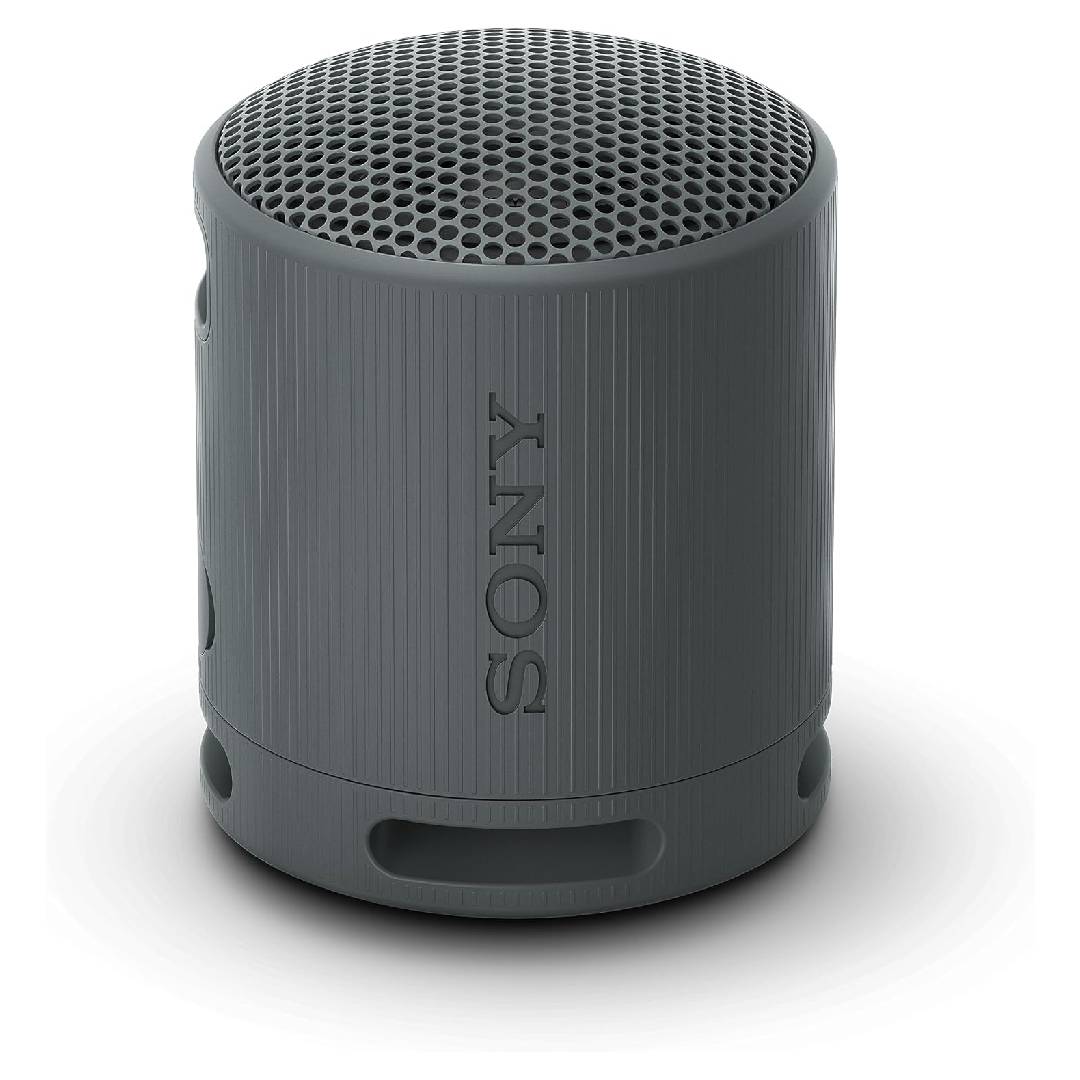 Sony SRS-XB100
