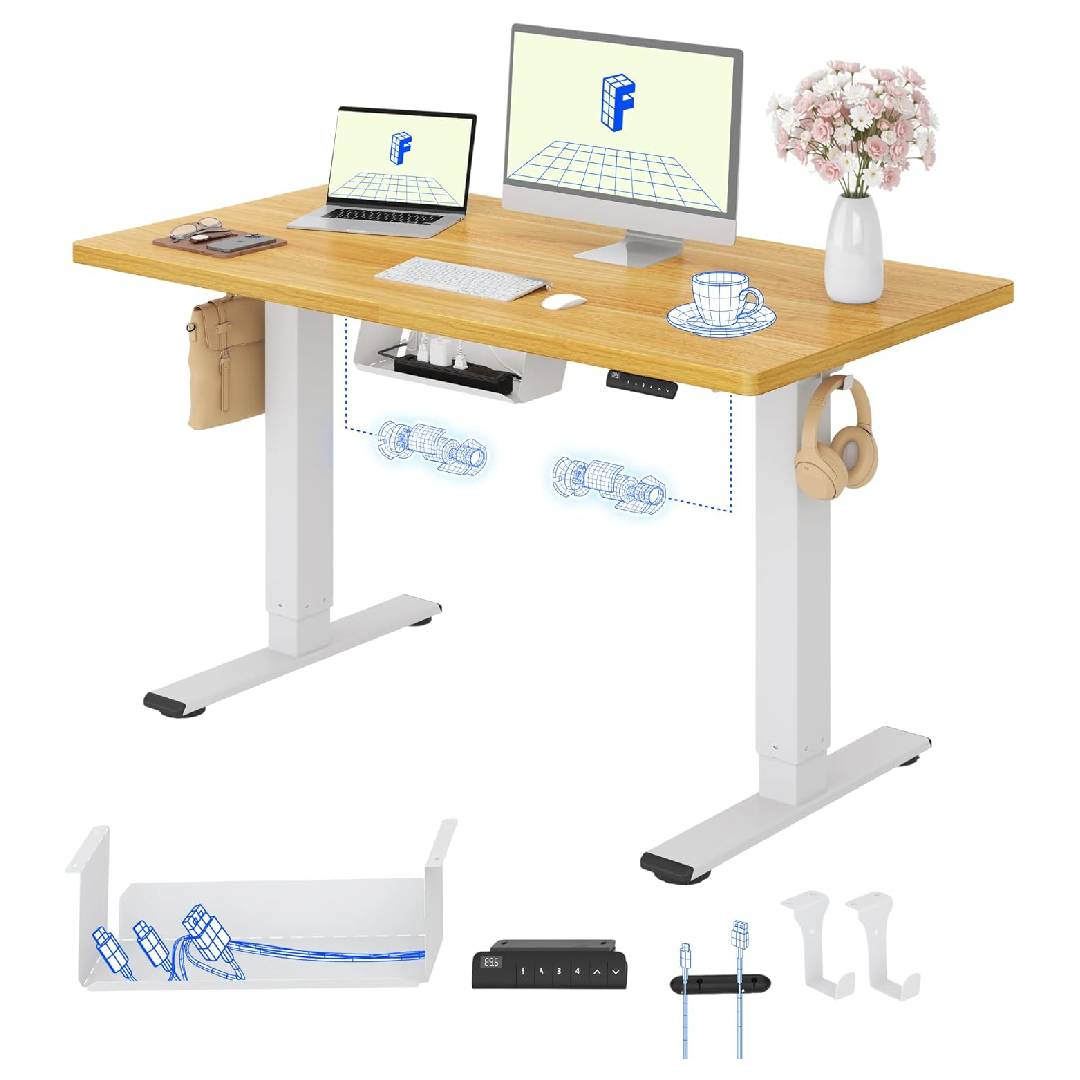 FlexiSpot E1 Pro Standing Desk with 2 Motors One-Piece Desktop