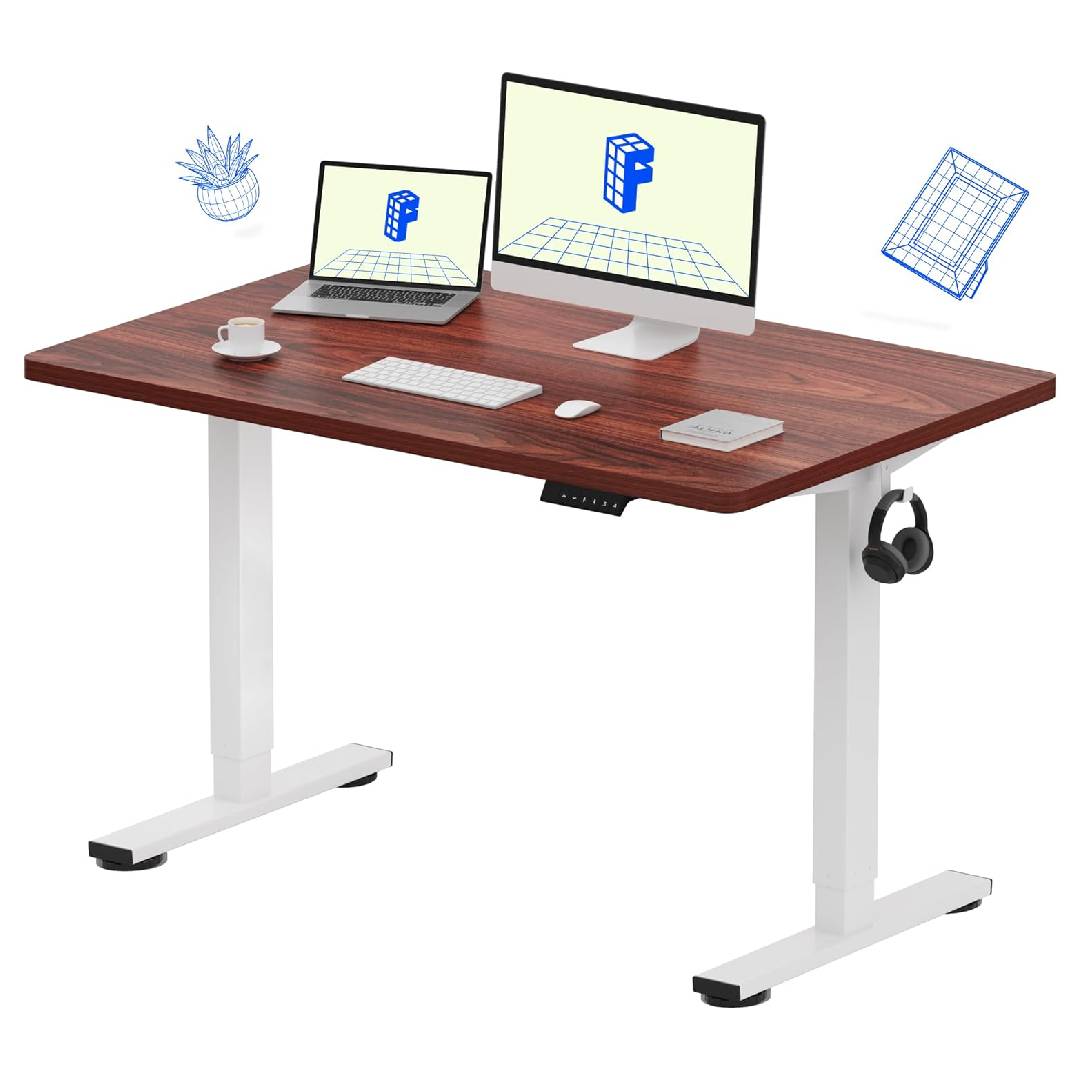 FlexiSpot E1 Plus ONE PIECE Electric Standing Desk