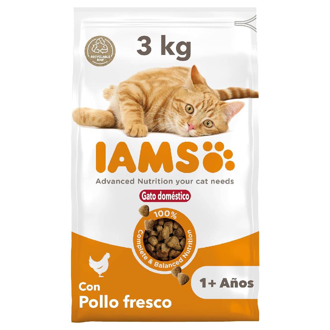 IAMS Indoor Dry Cat Food with Chicken