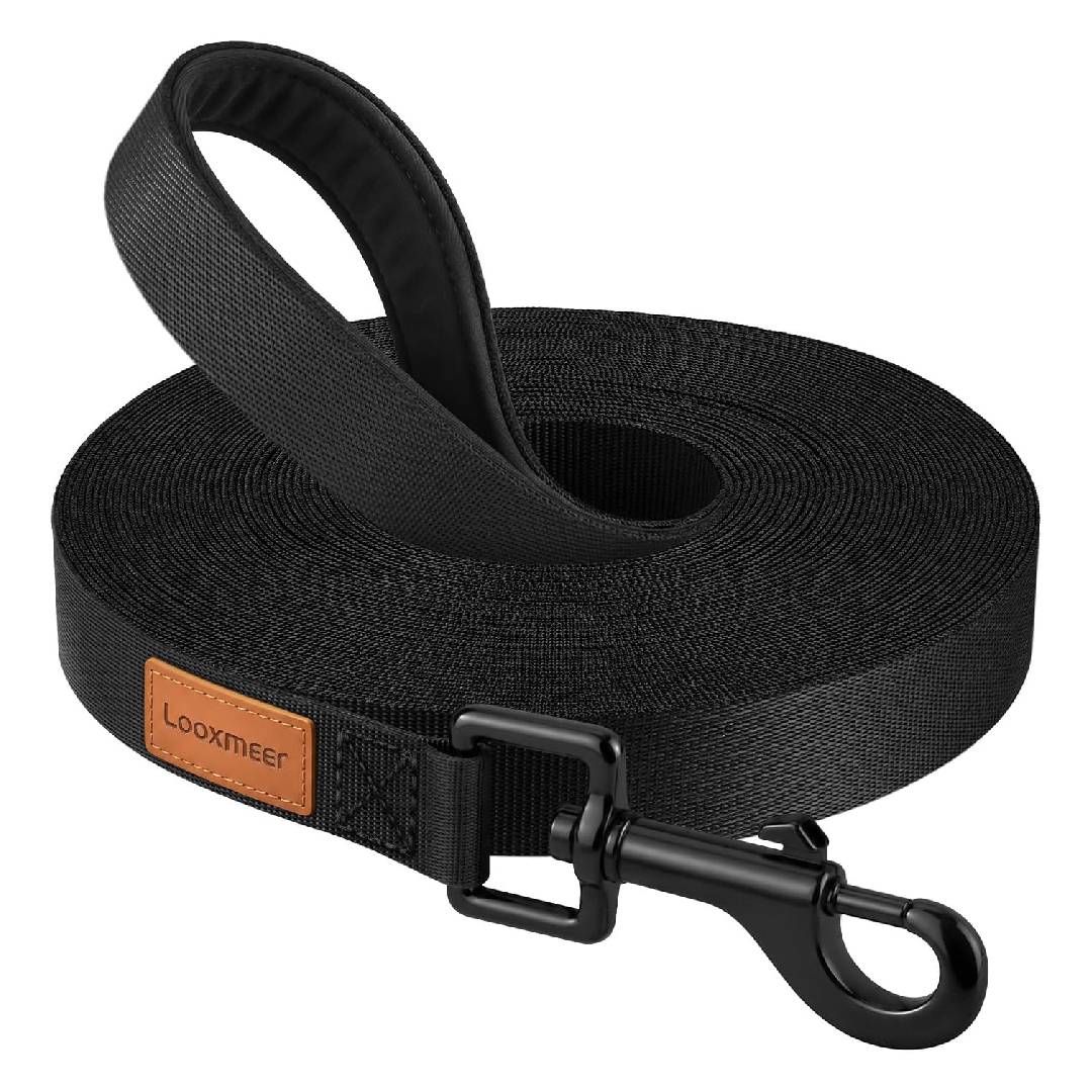 Training Leads for Dogs